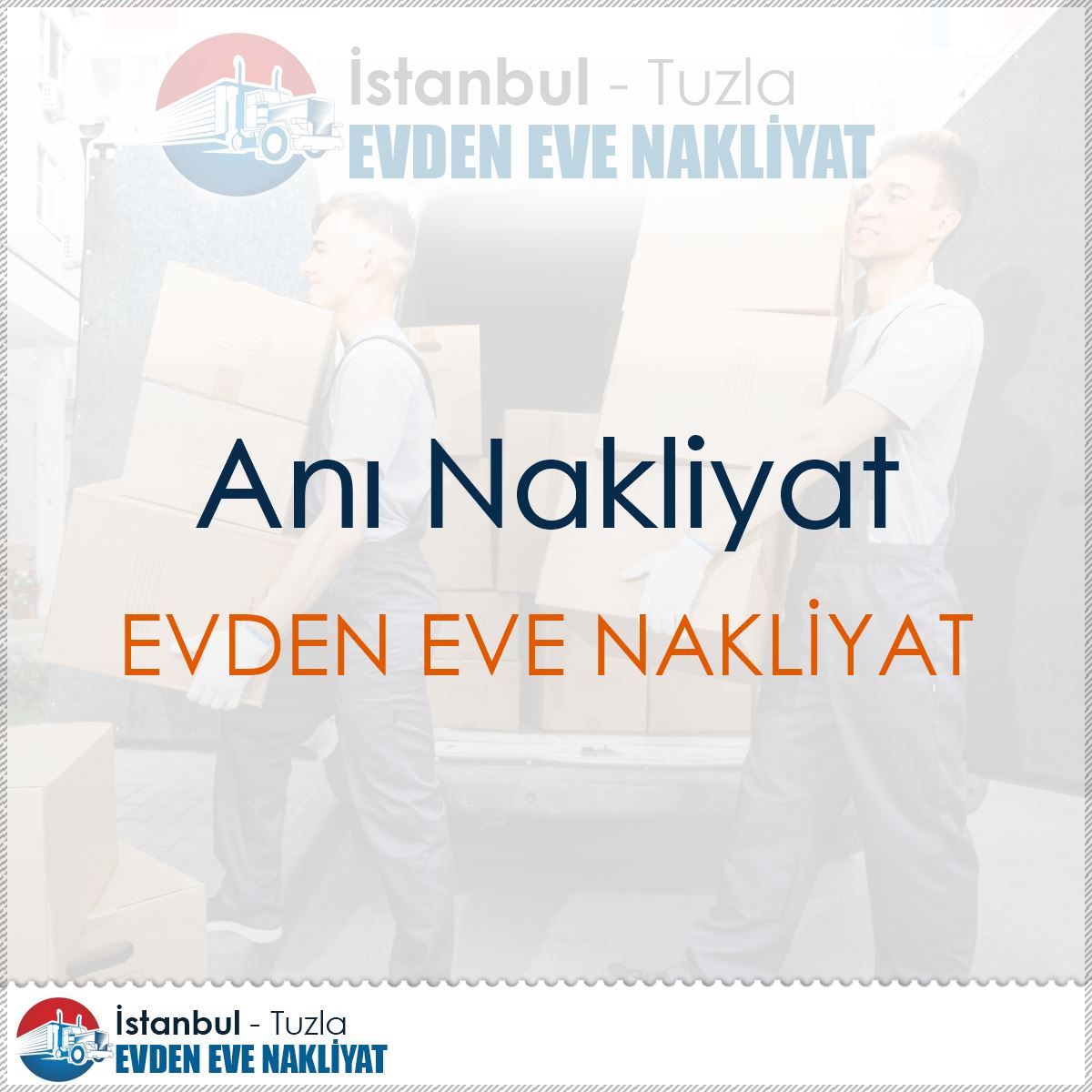 Anı Nakliyat : Kapak Görseli